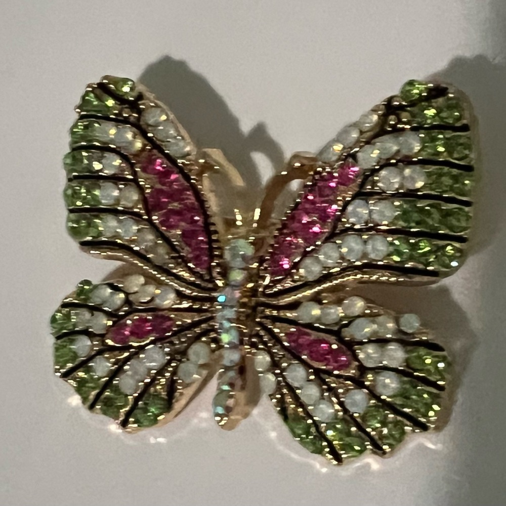 Adorable Butterfly Brooch🦋